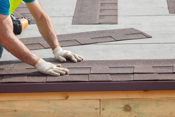 Best Roof Moss and Algae Removal  in Rossville, TN